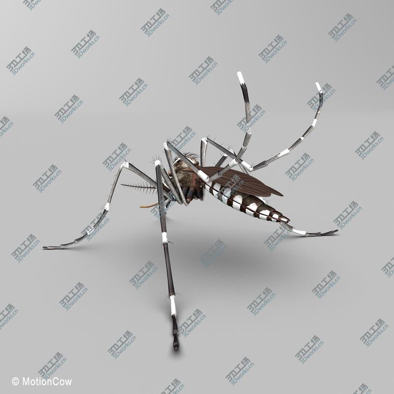 images/goods_img/20210115/Human ZBuilder for 3ds MAX/5.jpg